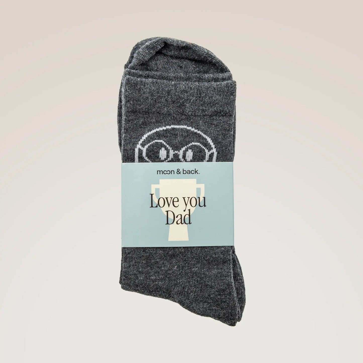Perfect Dad Business Socks