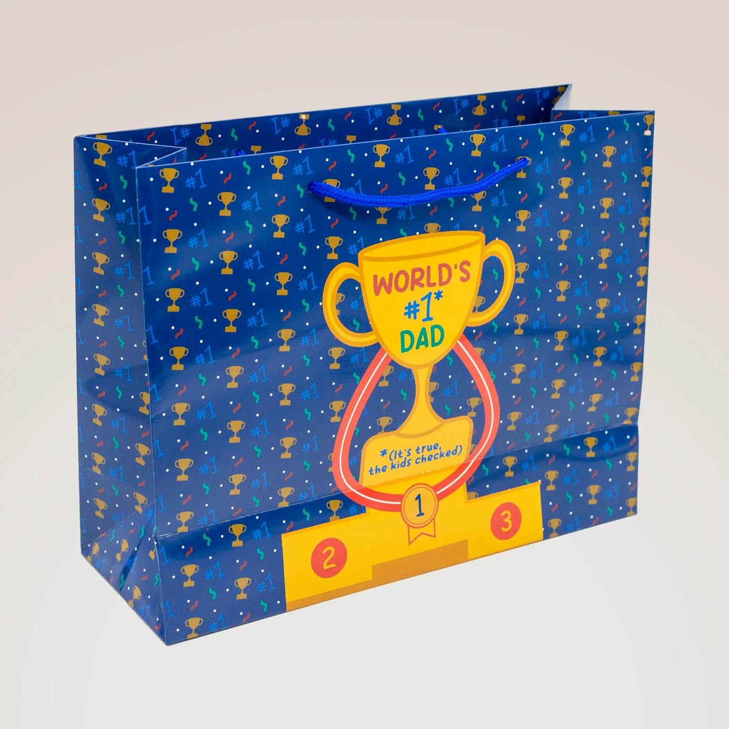 Large Gift Bag