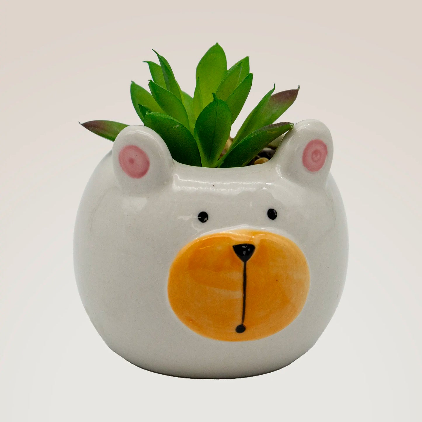 Animal Succulent Pot