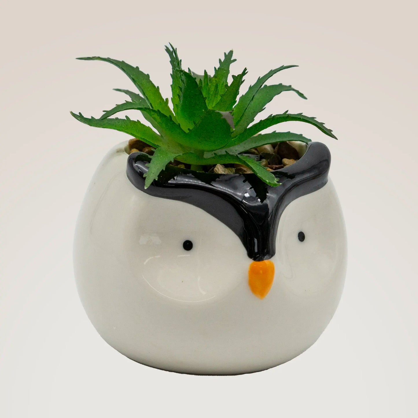 Animal Succulent Pot