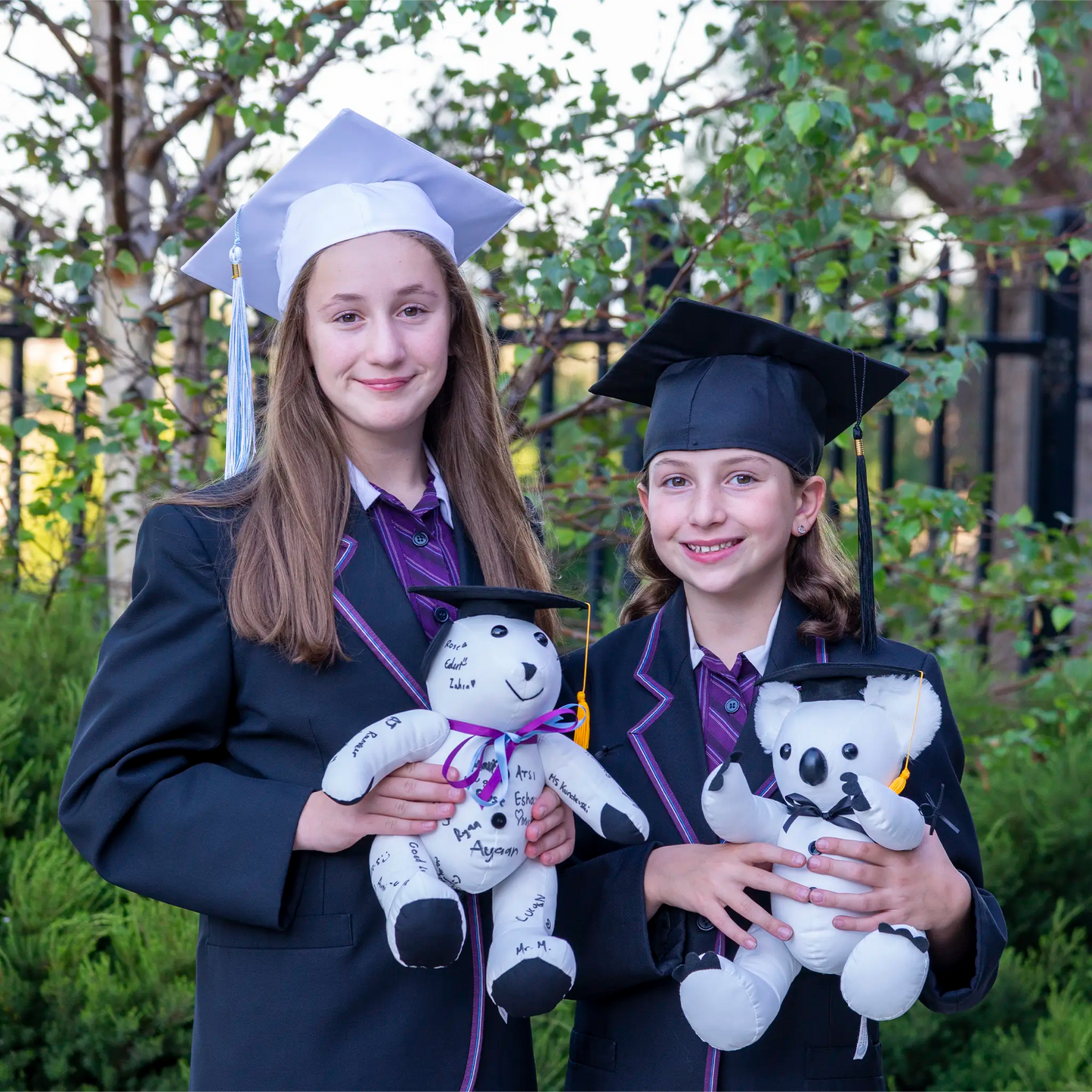 Graduation Signature Bear
