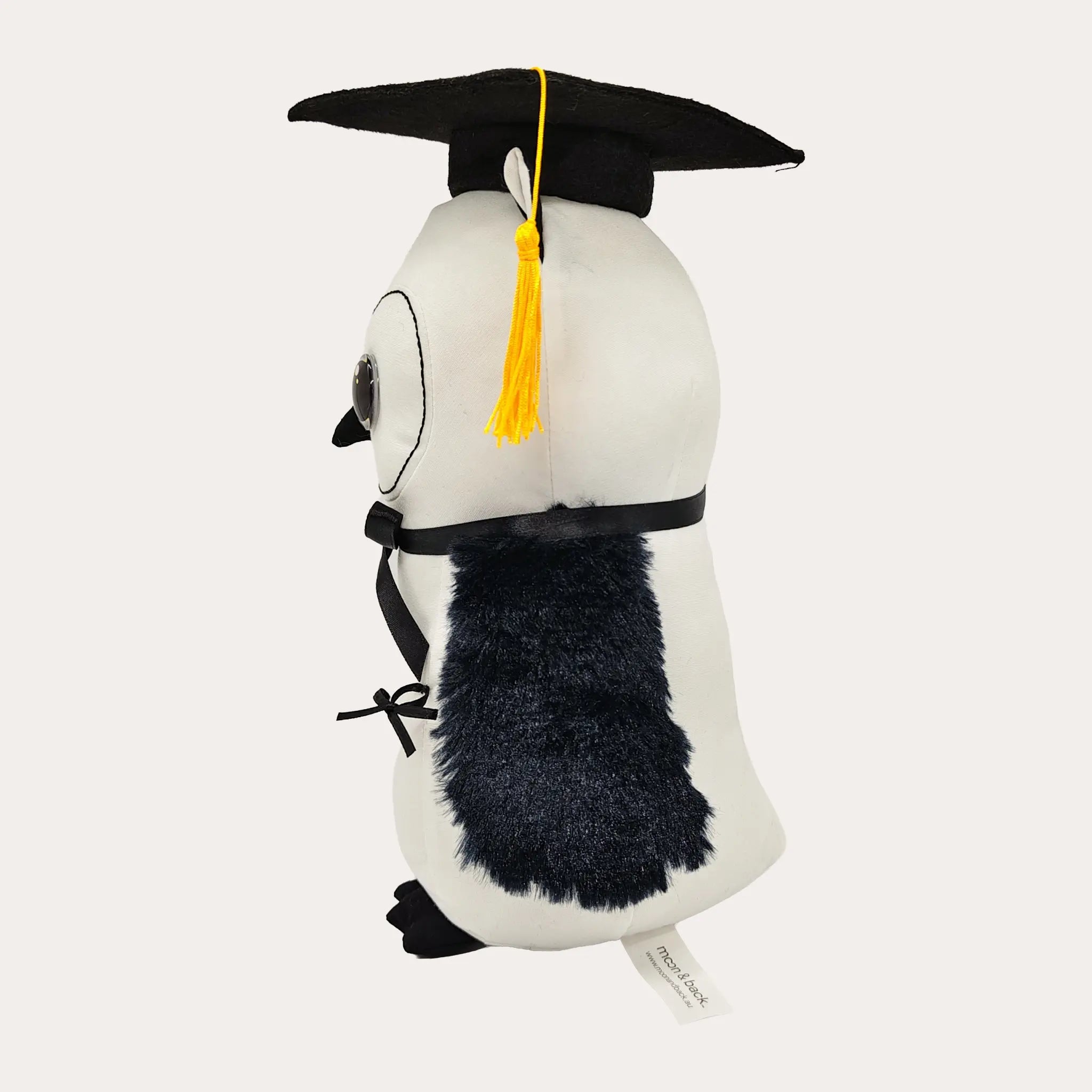 Graduation Signature Owl