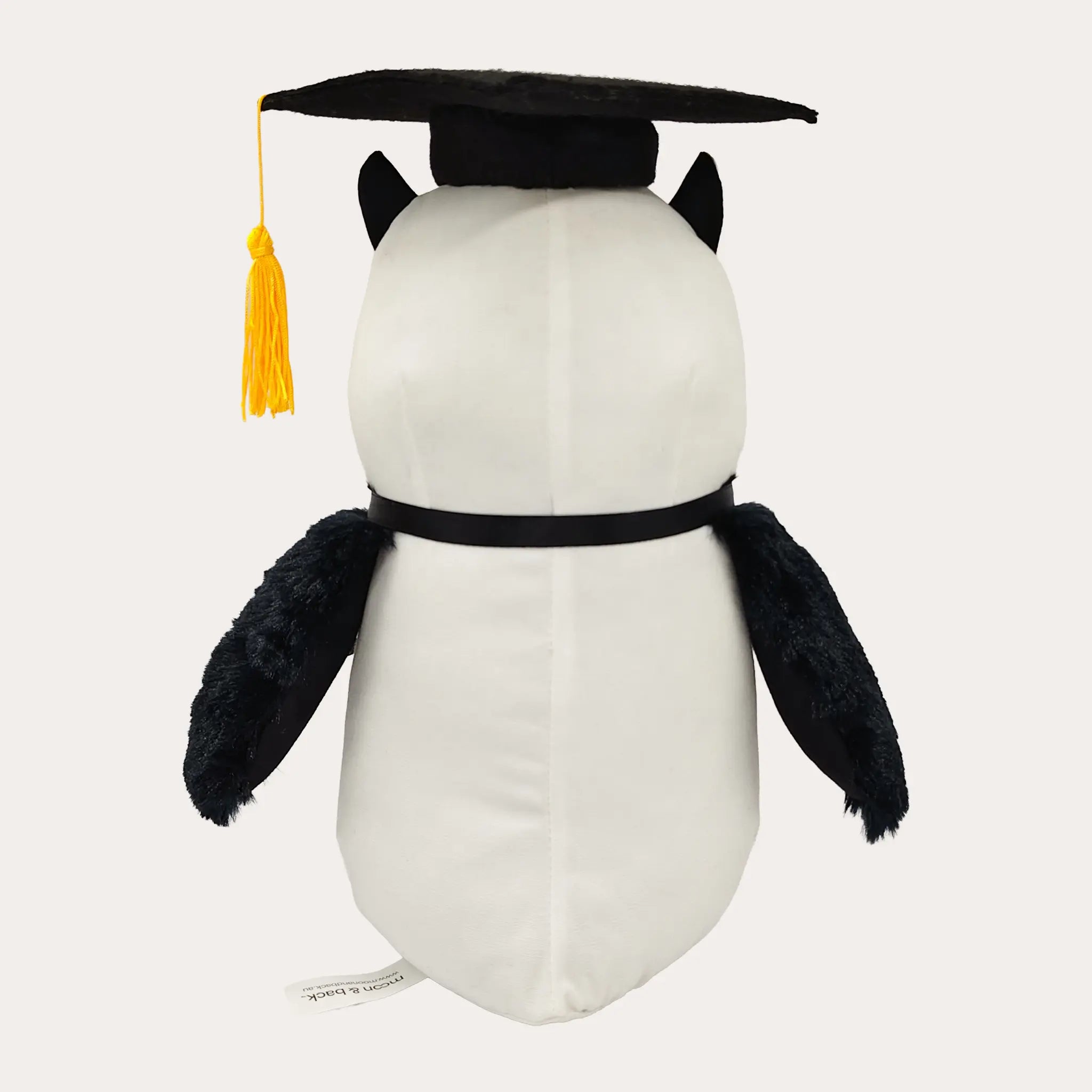 Graduation Signature Owl