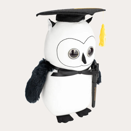 Graduation Signature Owl – Graduation Gift for Students