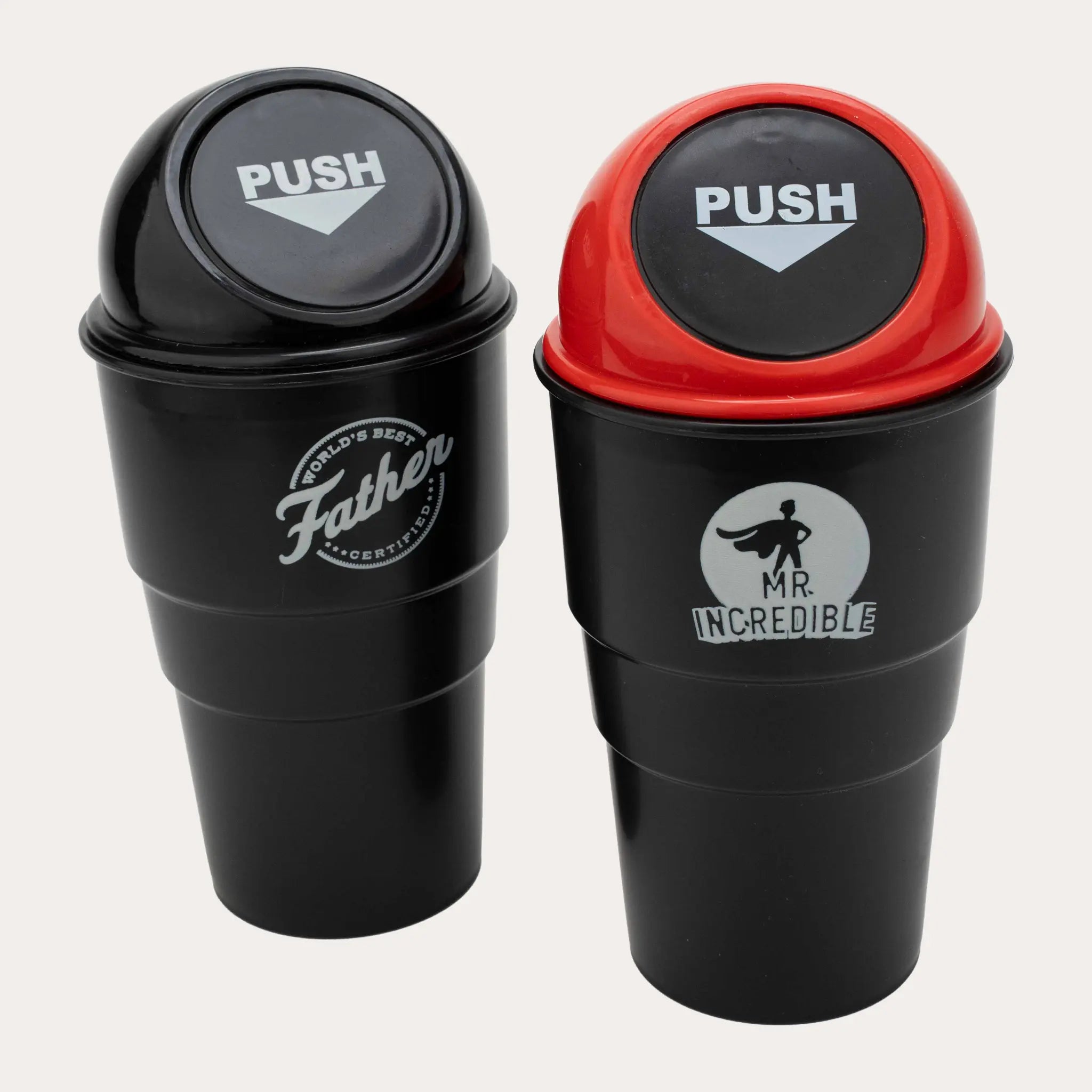 Car Bin