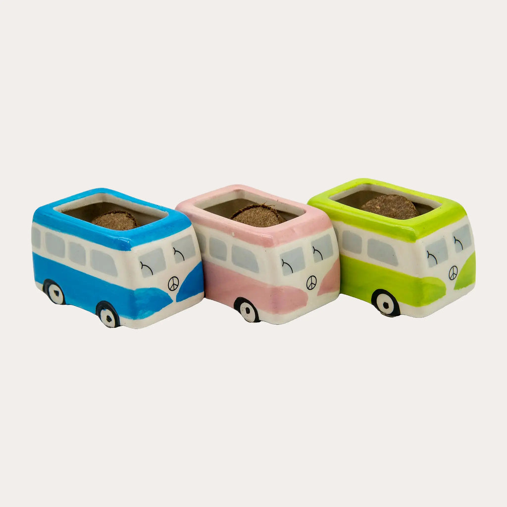 Minivan Grow Kit