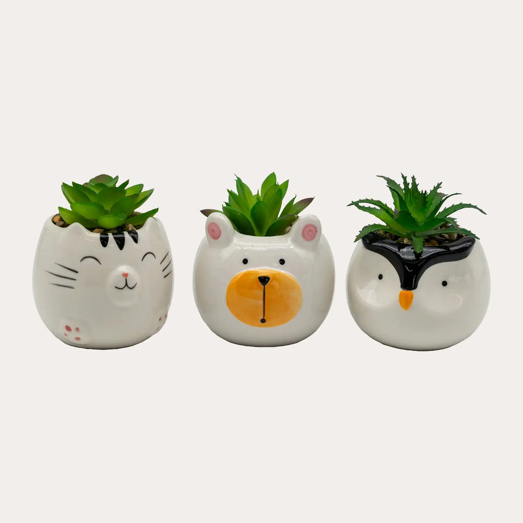Animal Succulent Pot