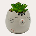 Animal Succulent Pot