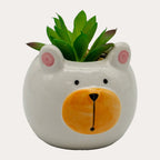 Animal Succulent Pot