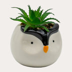 Animal Succulent Pot