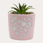 Love Succulent Pot