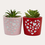 Love Succulent Pot