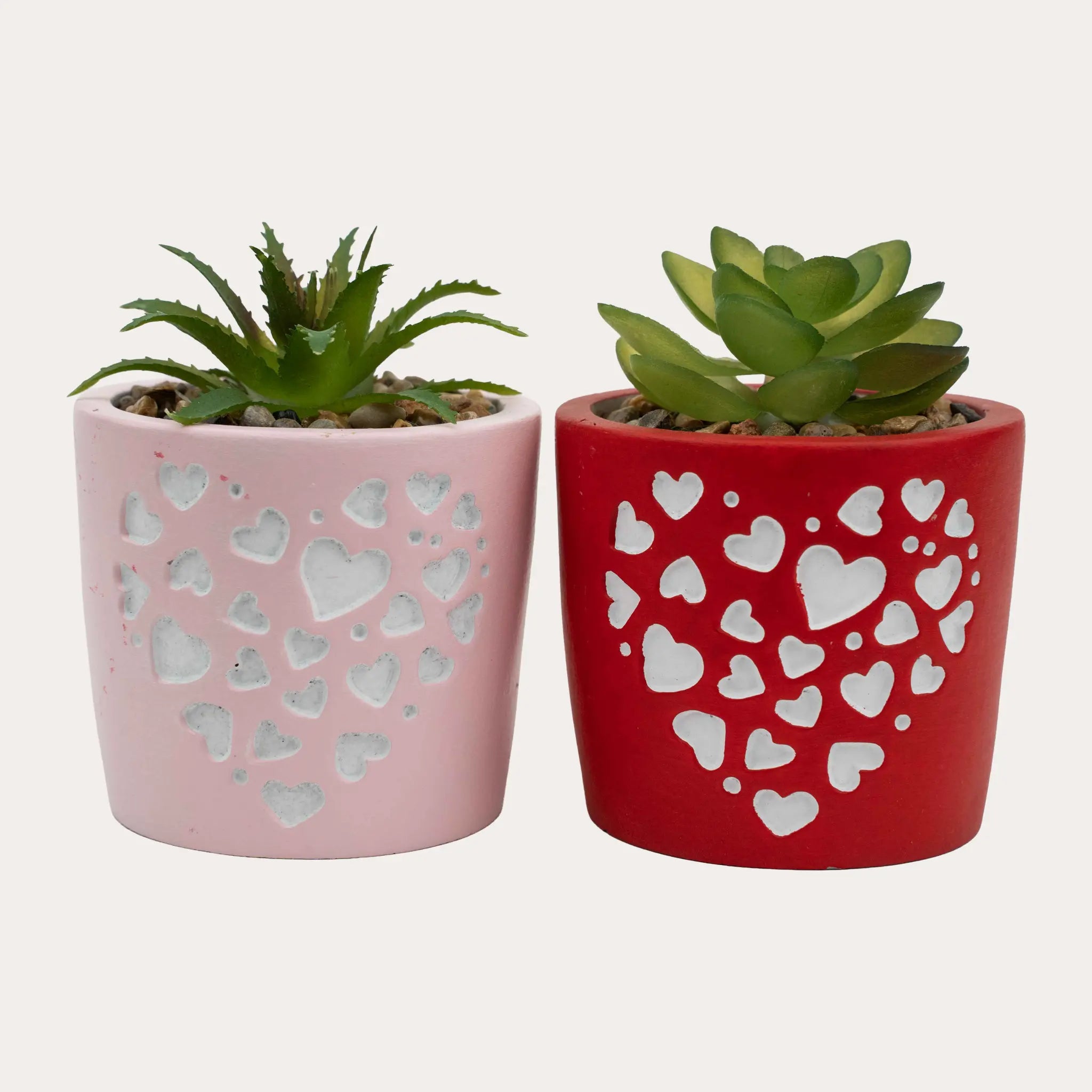 Love Succulent Pot